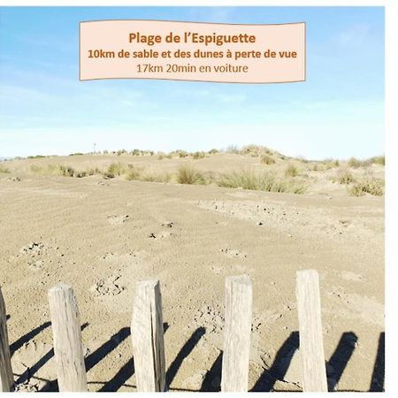 Suite Thalassa 1Ere Ligne Plages Du Couchant Wifi - Rossiconciergerie - Linge Inclus La Grande-Motte Eksteriør bilde