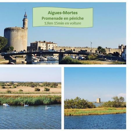 Suite Thalassa 1Ere Ligne Plages Du Couchant Wifi - Rossiconciergerie - Linge Inclus La Grande-Motte Eksteriør bilde