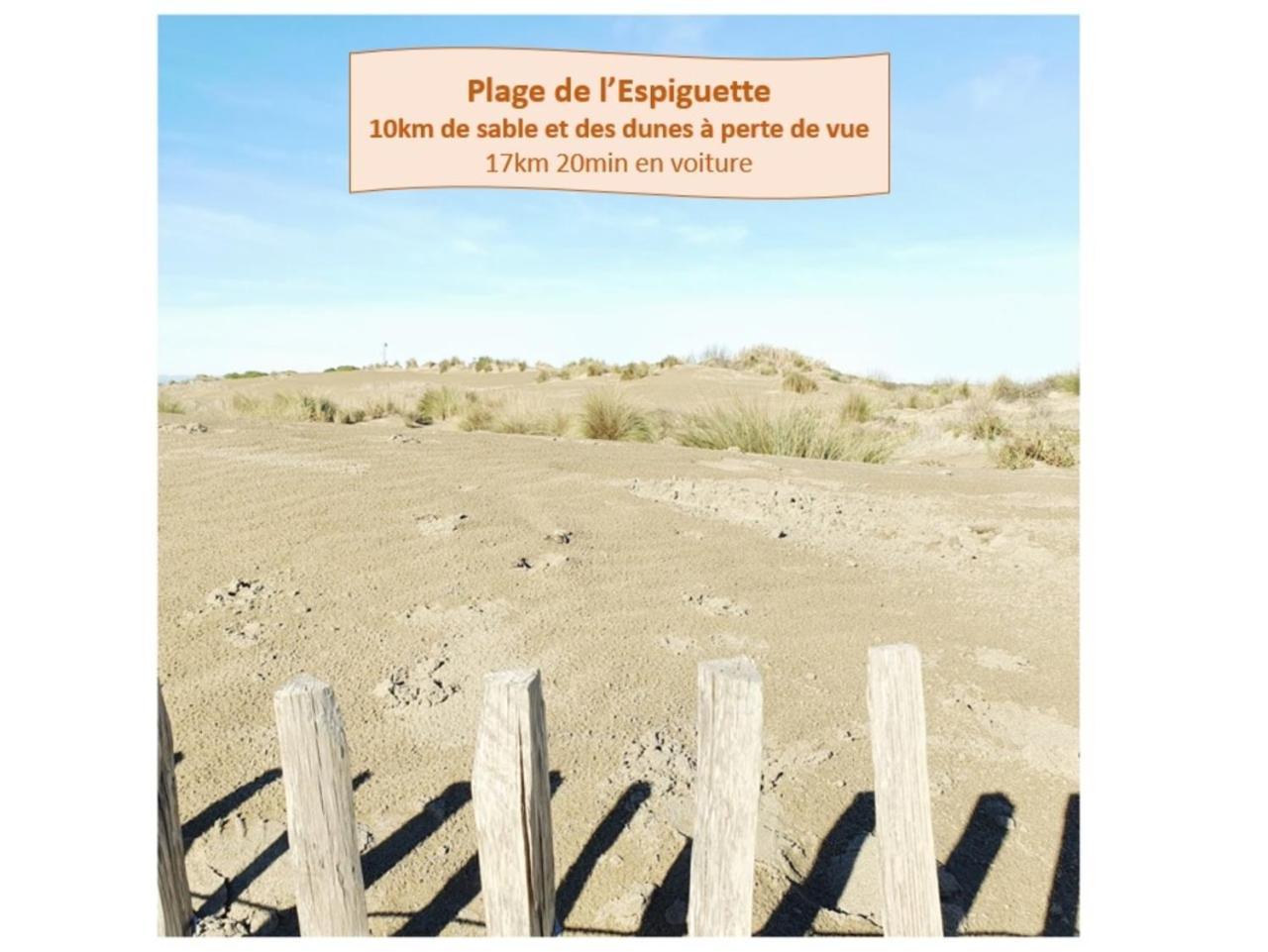 Suite Thalassa 1Ere Ligne Plages Du Couchant Wifi - Rossiconciergerie - Linge Inclus La Grande-Motte Eksteriør bilde